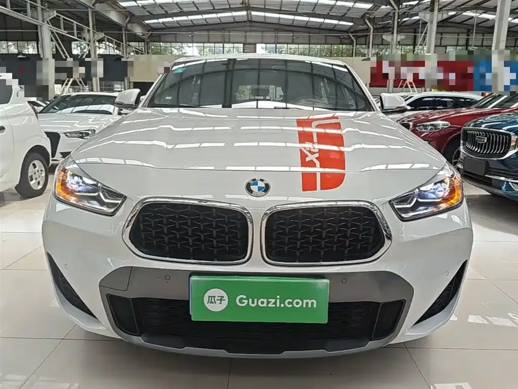 BMW X2 2022 из CN, фото 4