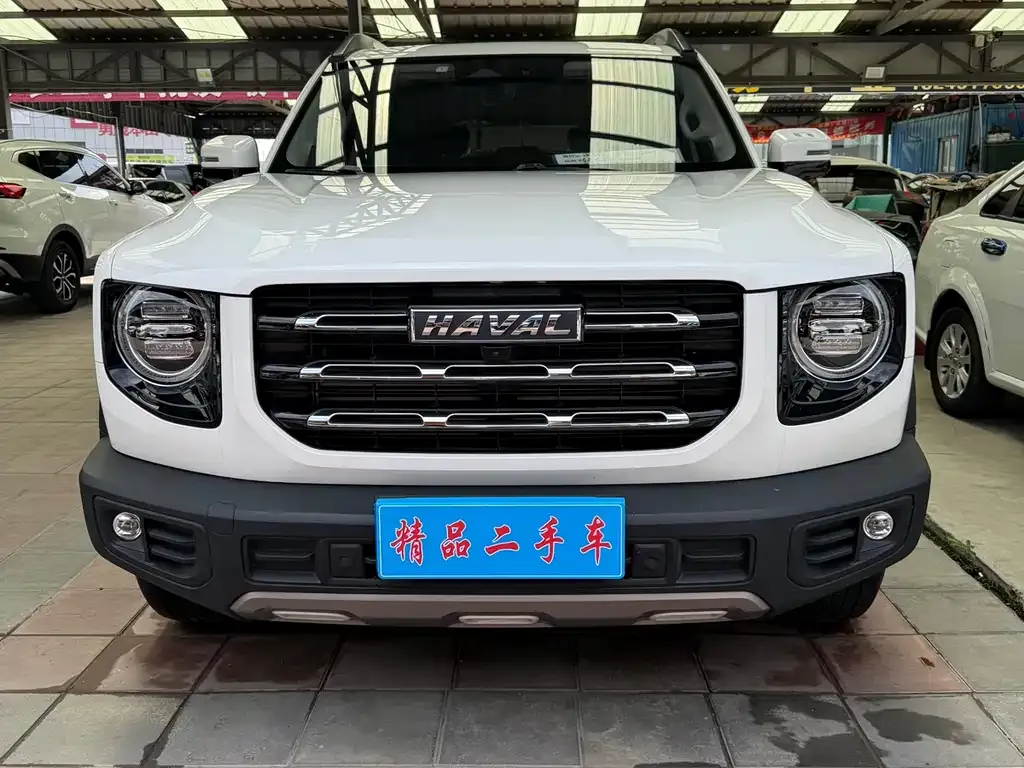 Haval Big Dog — фото 5