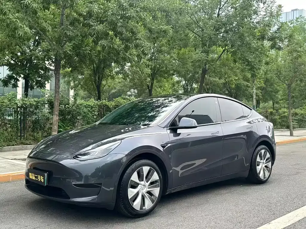 Tesla Model Y — фото 1