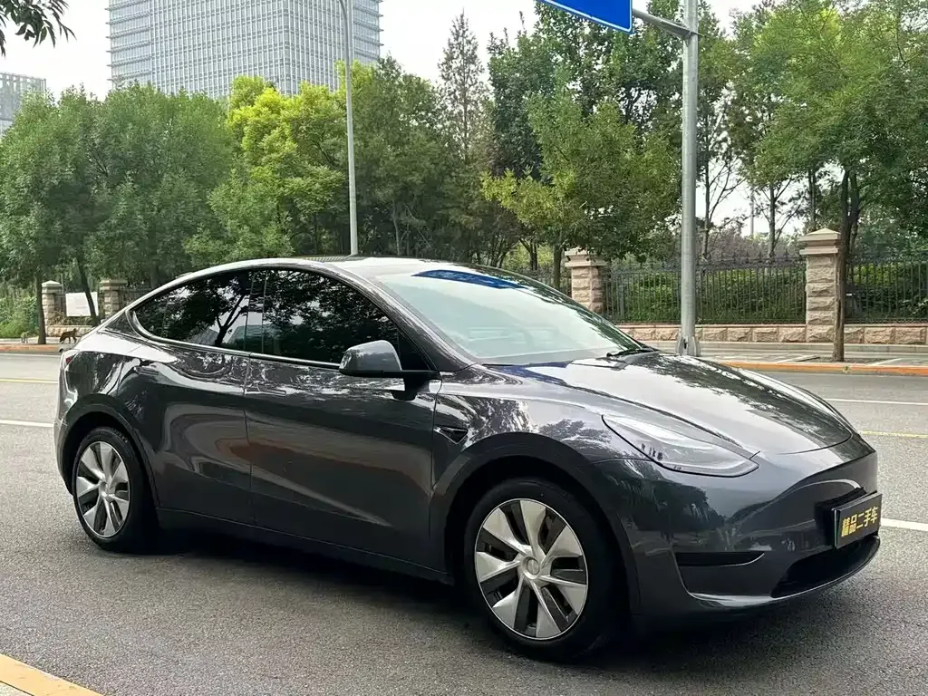 Tesla Model Y — фото 8