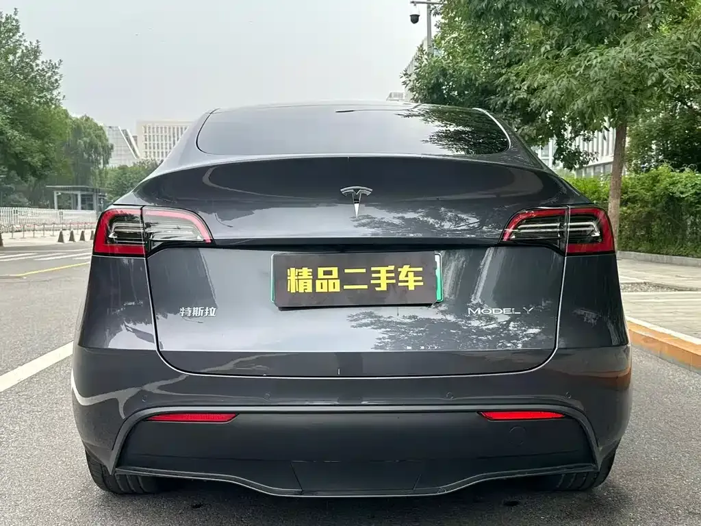 Tesla Model Y — фото 3