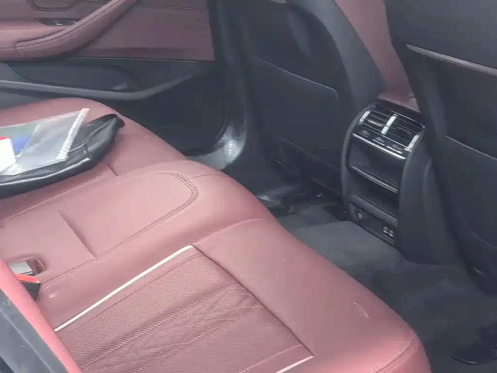 BMW 5 Series New Energy 2021 из CN, фото 2