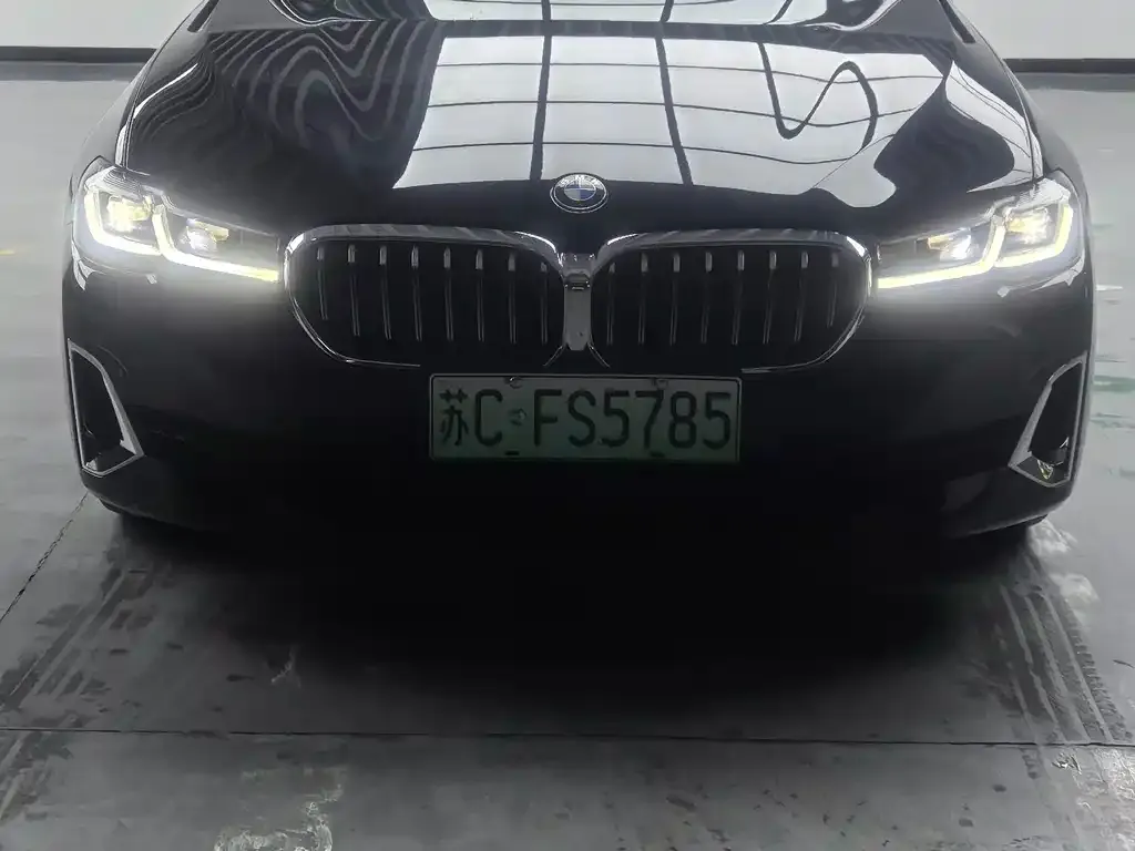 BMW 5 Series New Energy 2021 из CN, фото 5