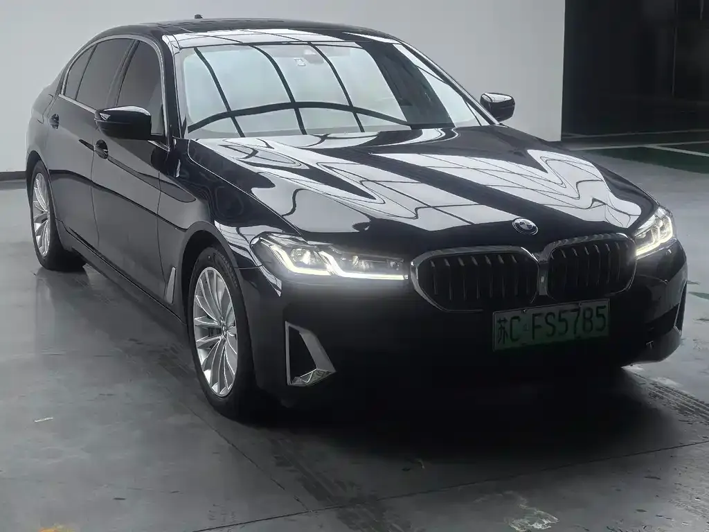 BMW 5 Series New Energy 2021 из CN, фото 3