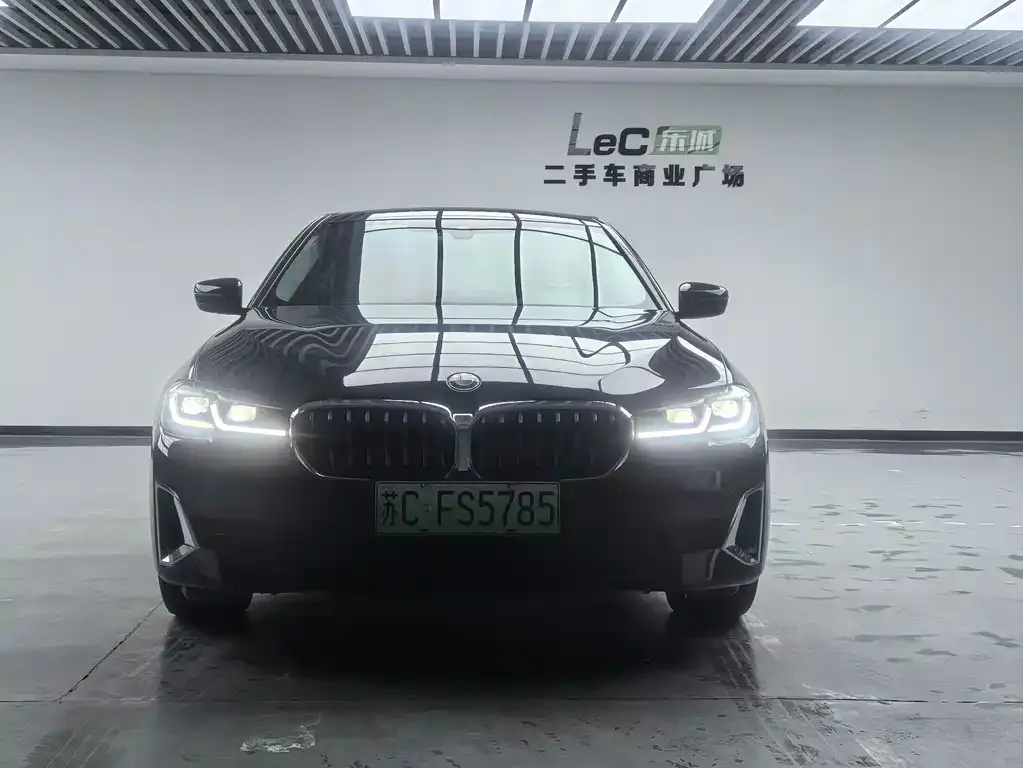 BMW 5 Series New Energy 2021 из CN, фото 9