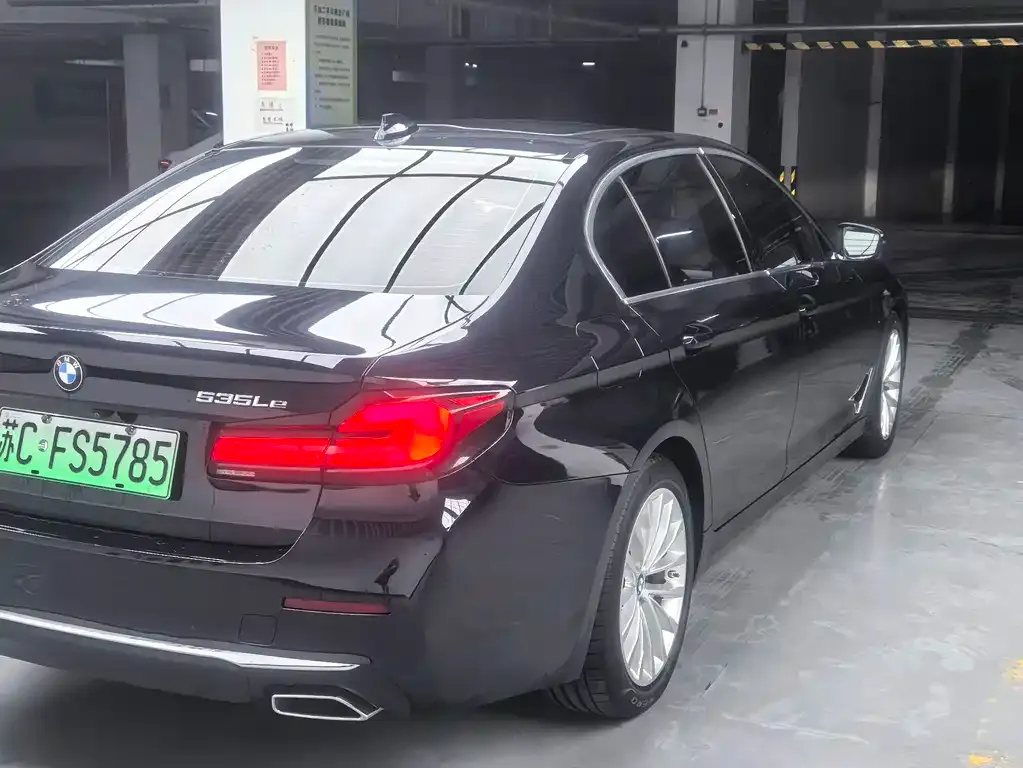 BMW 5 Series New Energy 2021 из CN, фото 6
