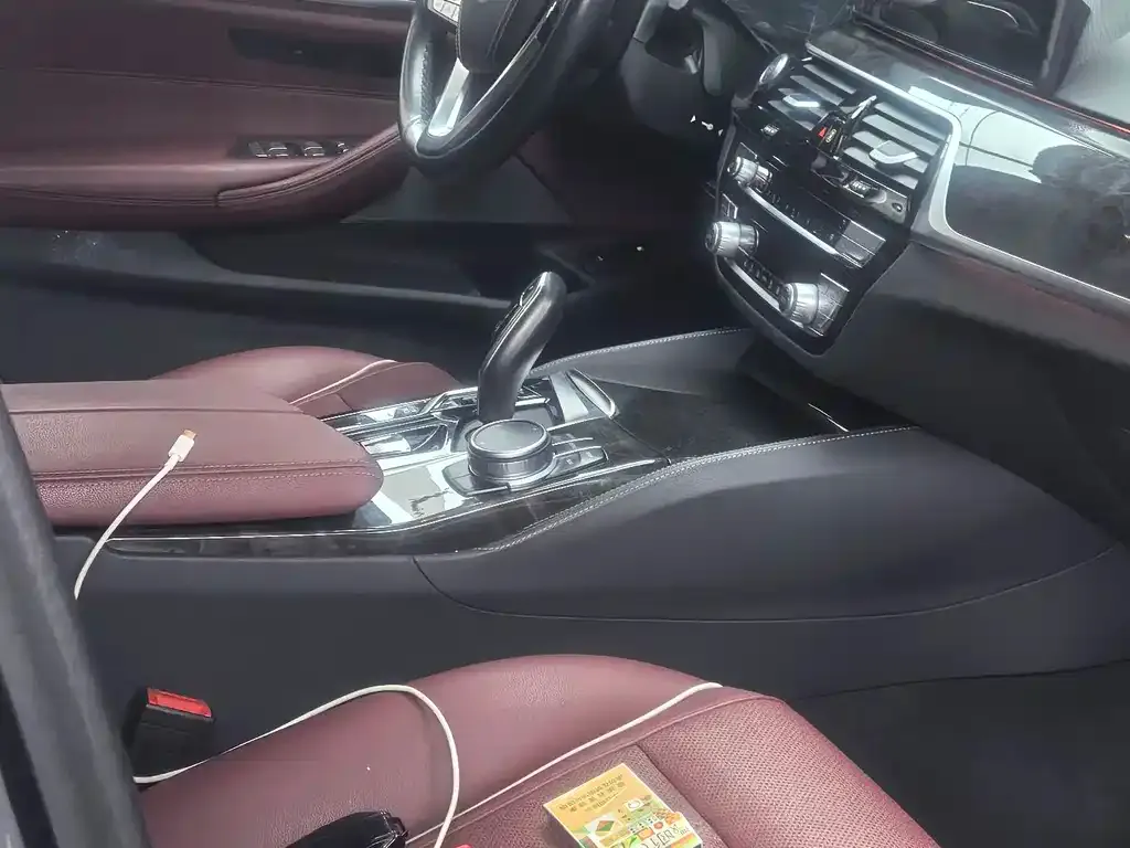 BMW 5 Series New Energy 2021 из CN, фото 10