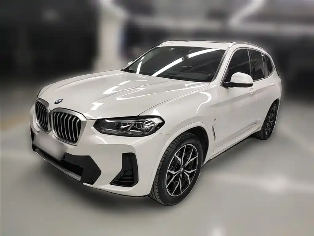BMW X3 — фото 1