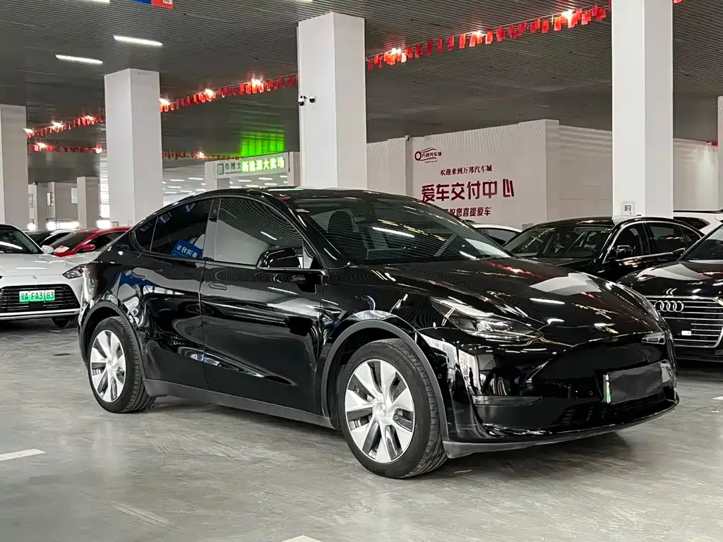 Tesla Model Y — фото 9