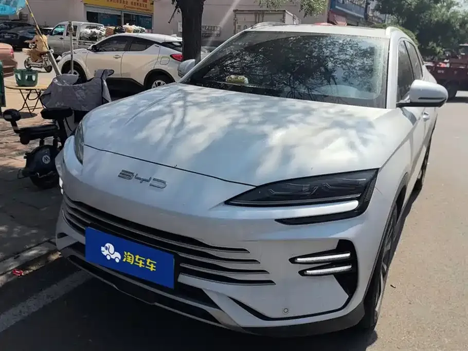 BYD PLUS New Energy — фото 1