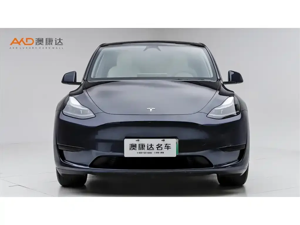 Tesla Model Y — фото 9