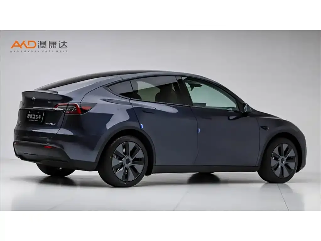 Tesla Model Y — фото 10
