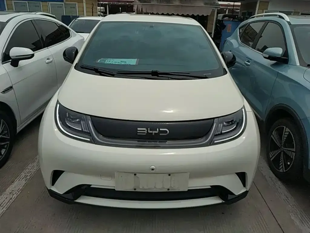 BYD Dolphin 2024 из CN, фото 2