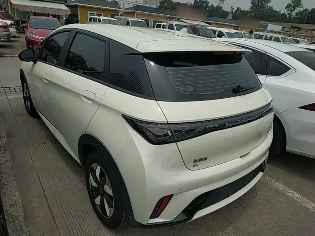 BYD Dolphin 2024 из CN, фото 4