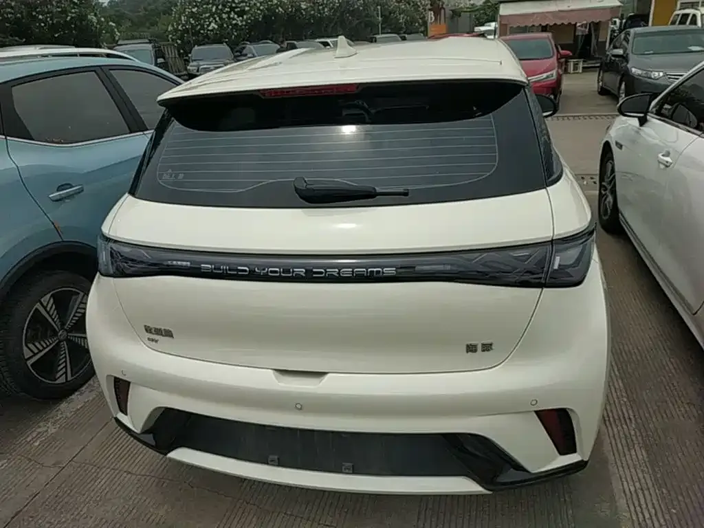 BYD Dolphin 2024 из CN, фото 6