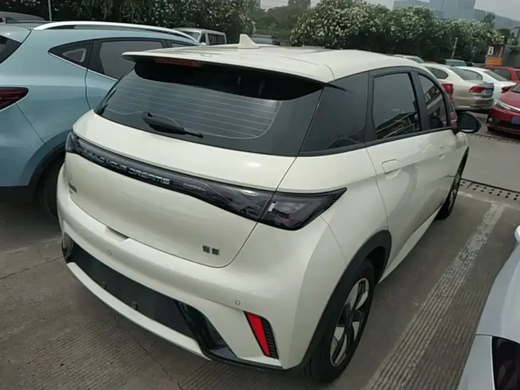 BYD Dolphin 2024 из CN, фото 8
