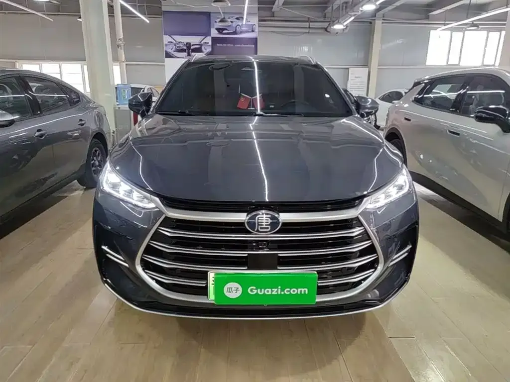 BYD Tang New Energy 2023 из CN, фото 2