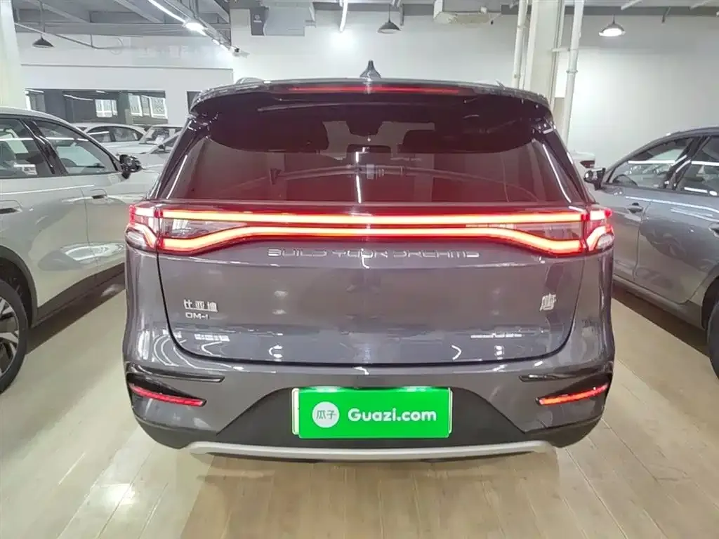 BYD Tang New Energy 2023 из CN, фото 10
