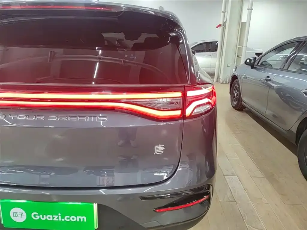 BYD Tang New Energy 2023 из CN, фото 9