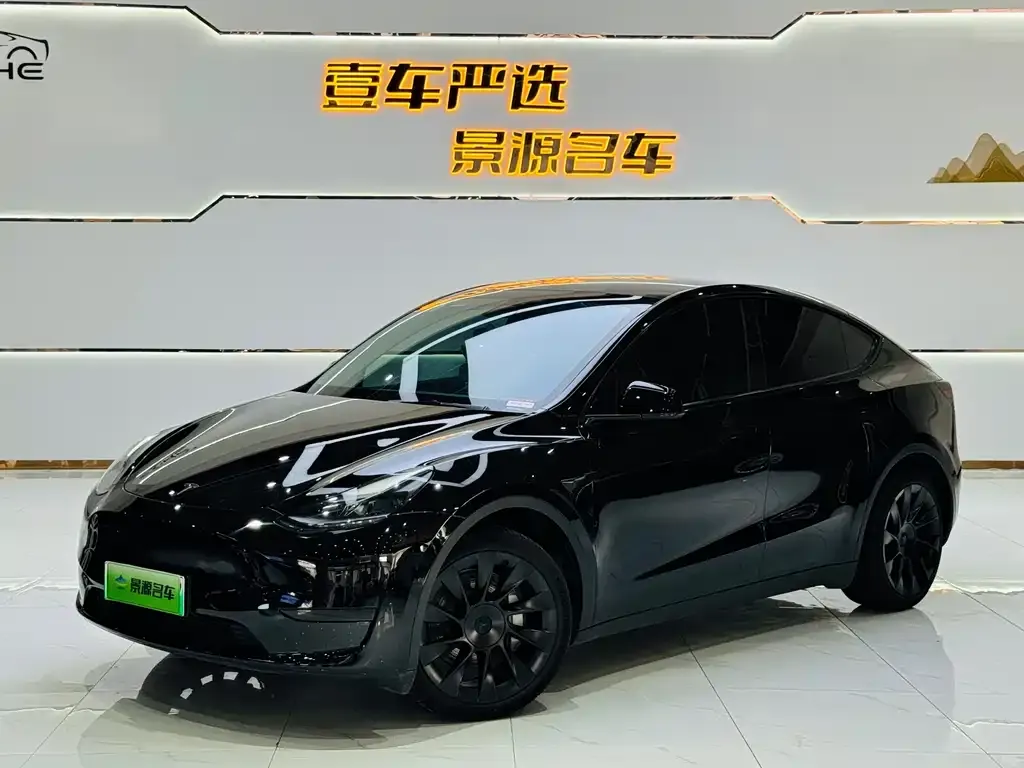 Tesla Model Y — фото 1