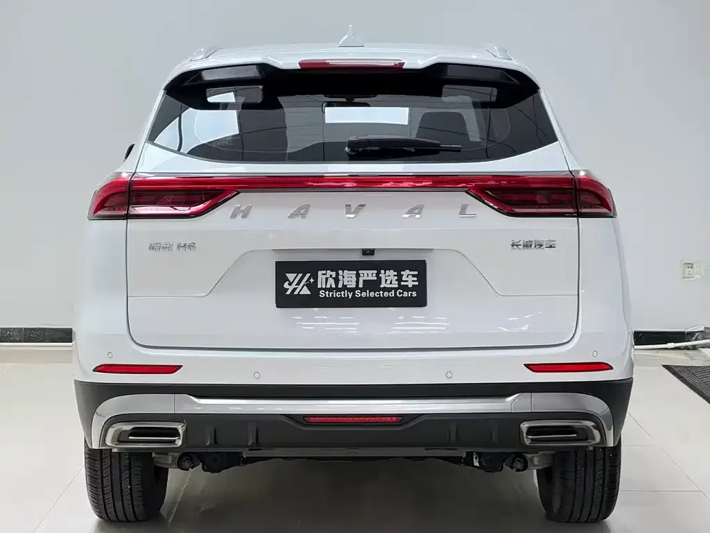 Haval H6 — фото 8