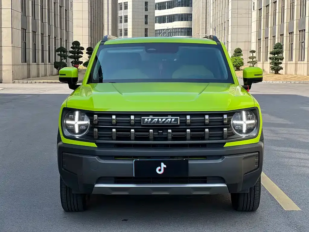Haval Cool Dog 2022 из CN, фото 9