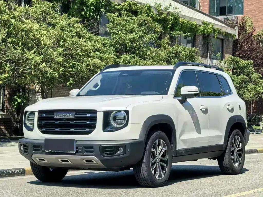 Haval Big Dog 2023 из CN, фото 10