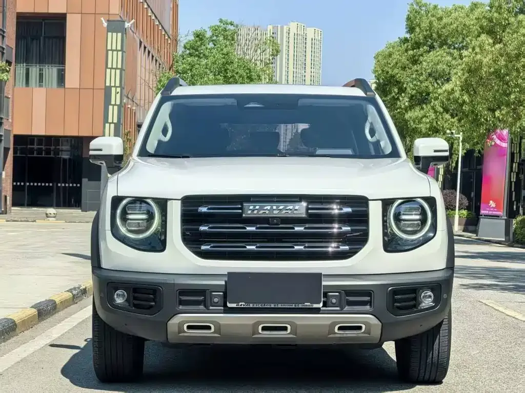Haval Big Dog 2023 из CN, фото 7