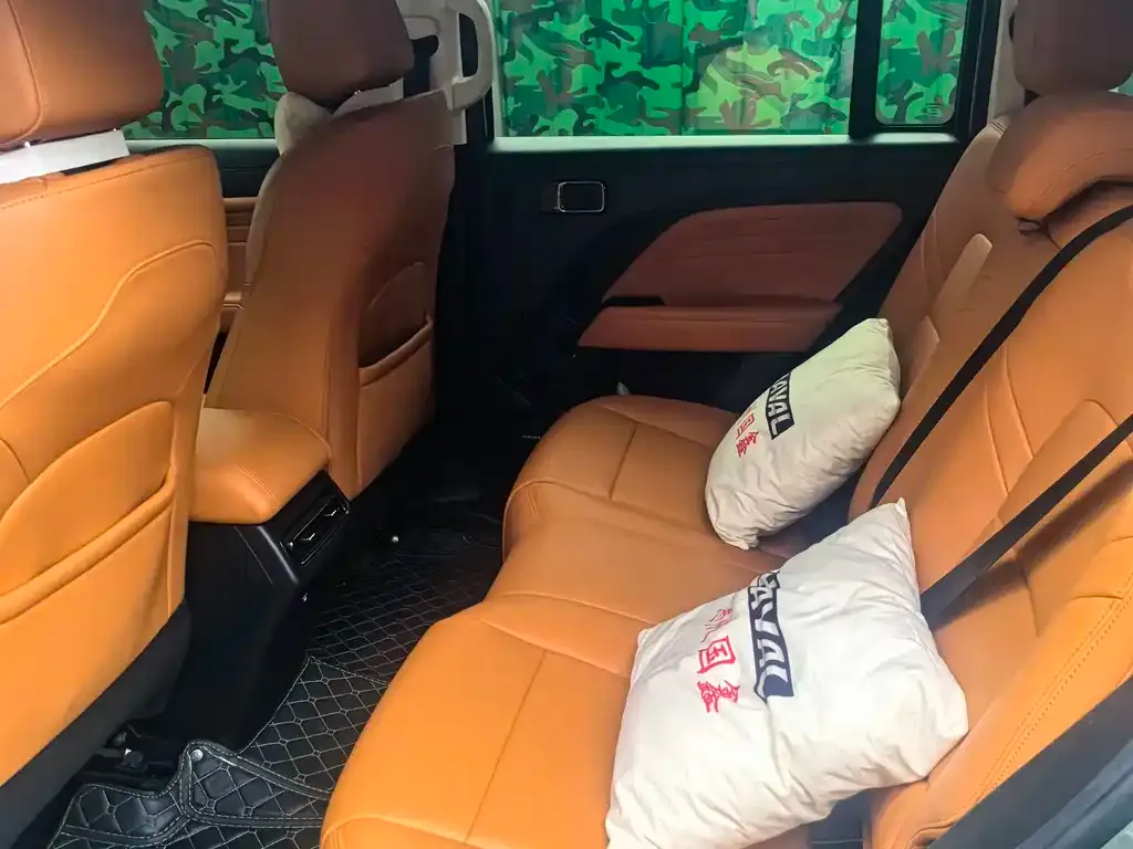 Haval Menglong New Energy 2024 из CN, фото 3