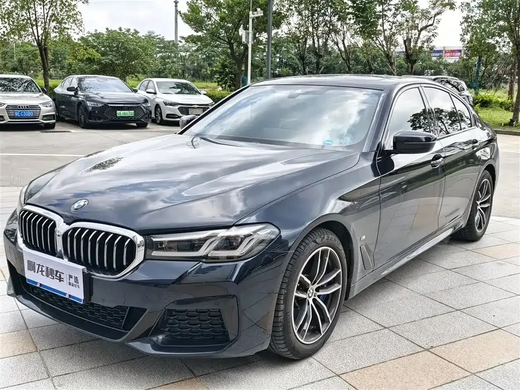 BMW 5 Series (Import)