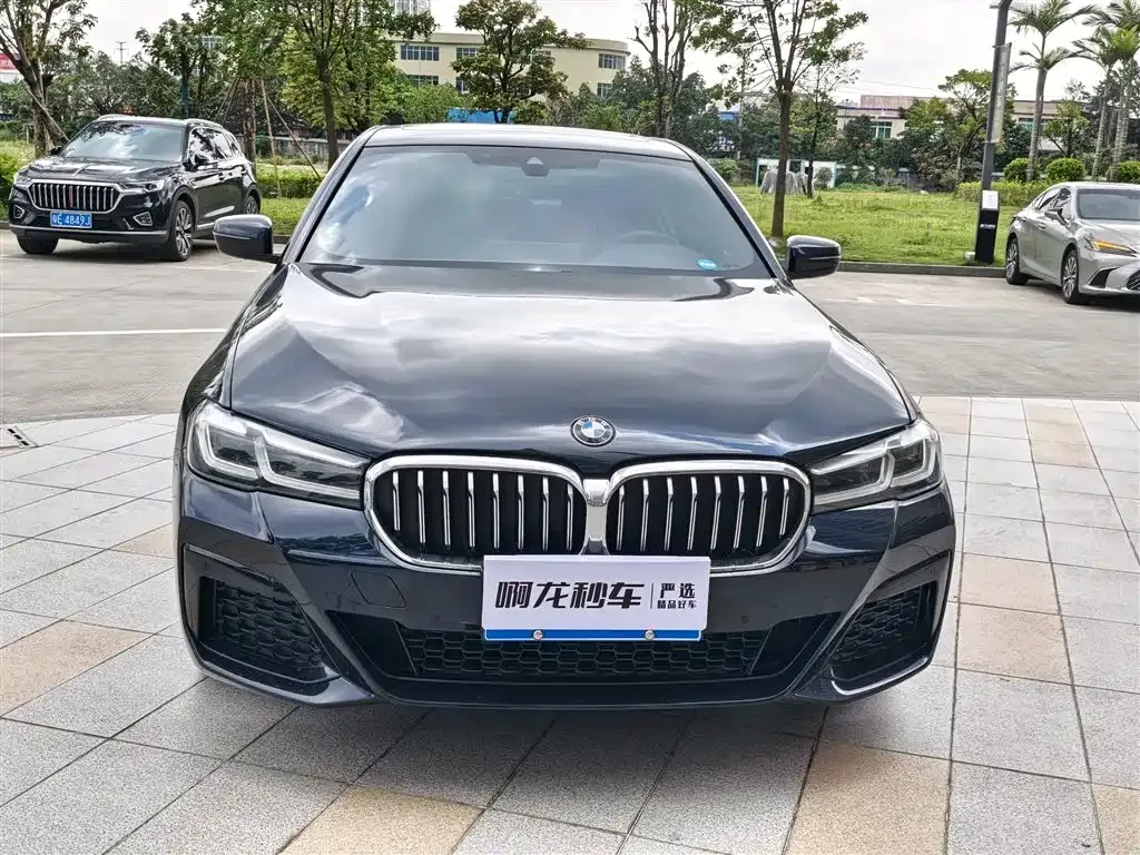 BMW 5 Series (Import) 2022 из CN, фото 7