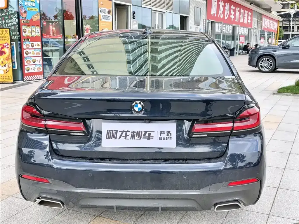 BMW 5 Series (Import) 2022 из CN, фото 6