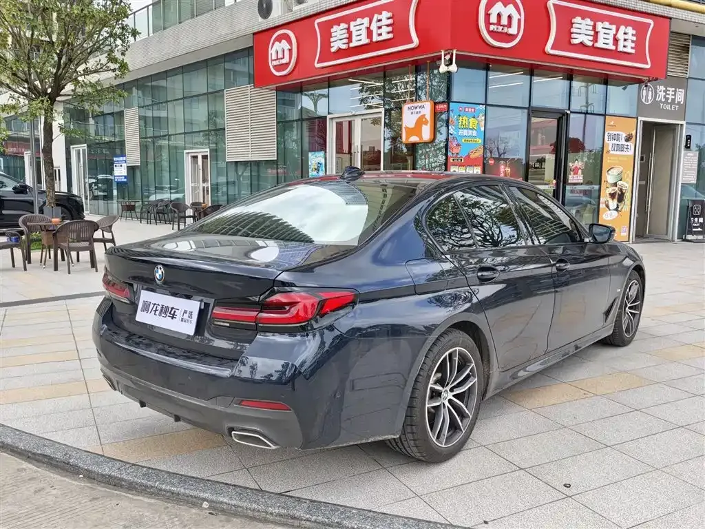 BMW 5 Series (Import) 2022 из CN, фото 9