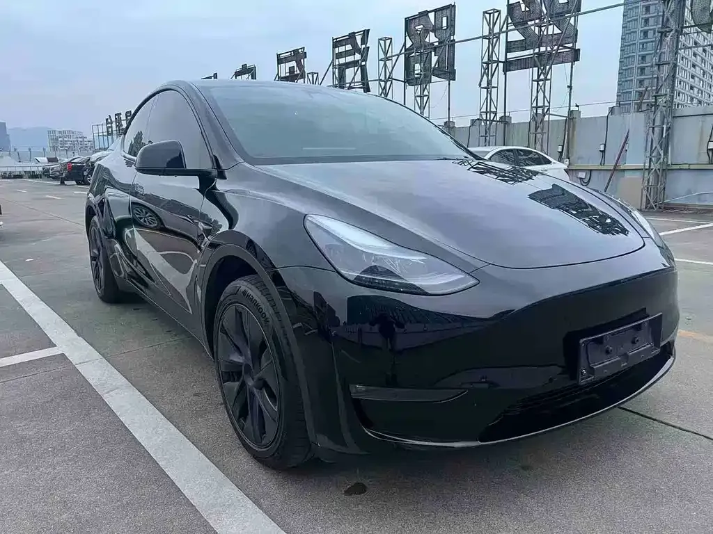 Tesla Model Y — фото 9