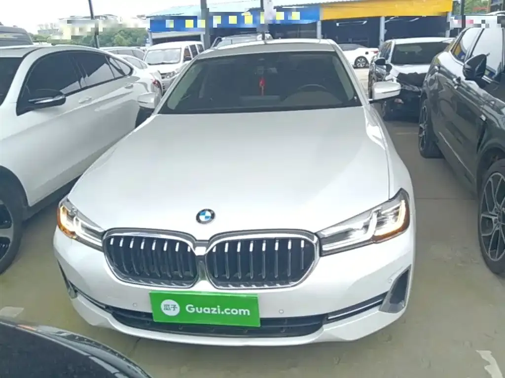BMW 5 Series 2022 из CN, фото 10