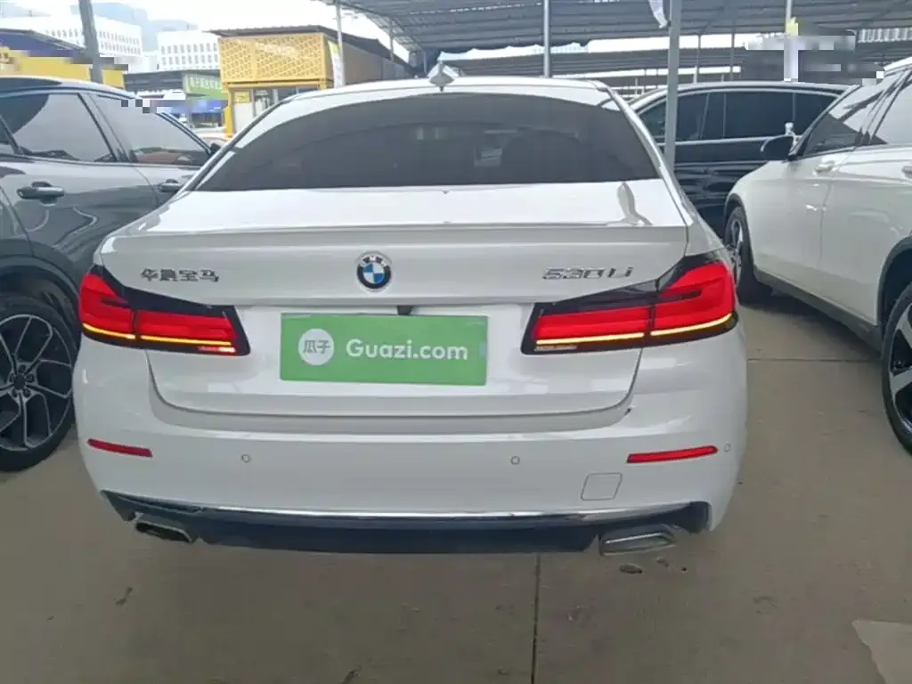 BMW 5 Series 2022 из CN, фото 3