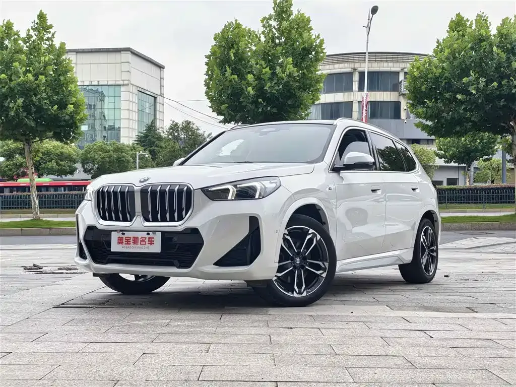 BMW X1 — фото 1
