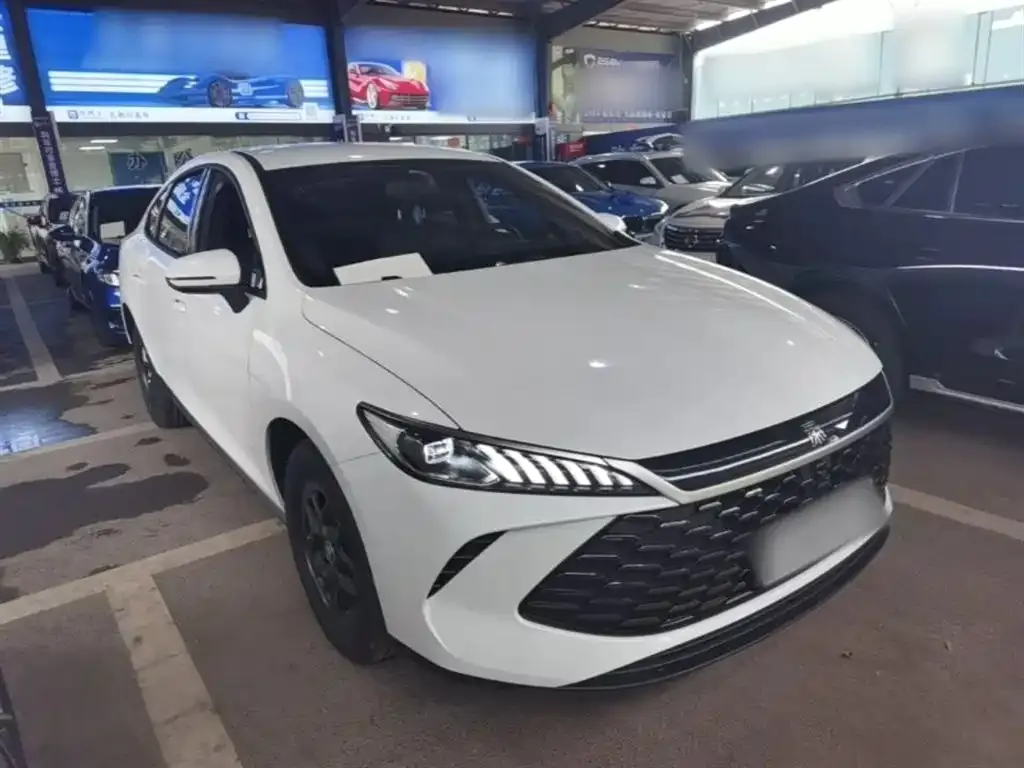 BYD Qin PLUS — фото 10