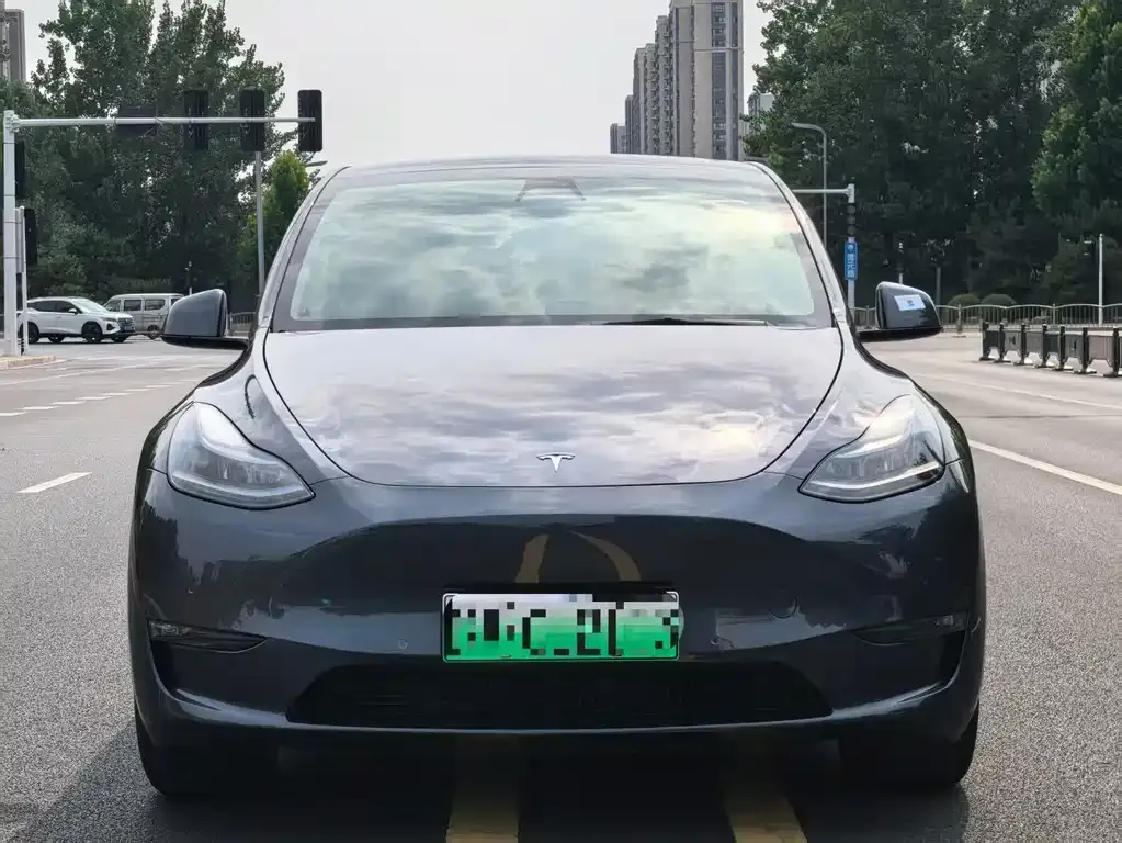 Tesla Model Y — фото 3