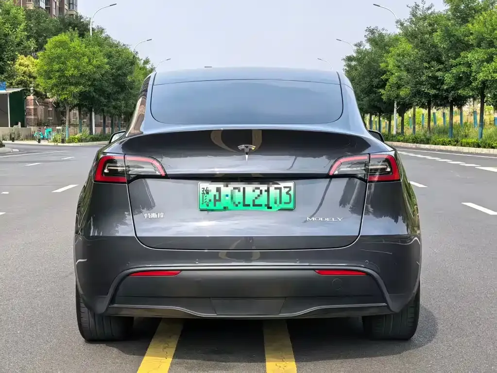 Tesla Model Y — фото 9