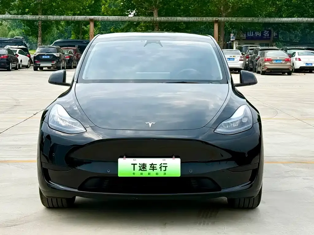 Tesla Model Y — фото 3