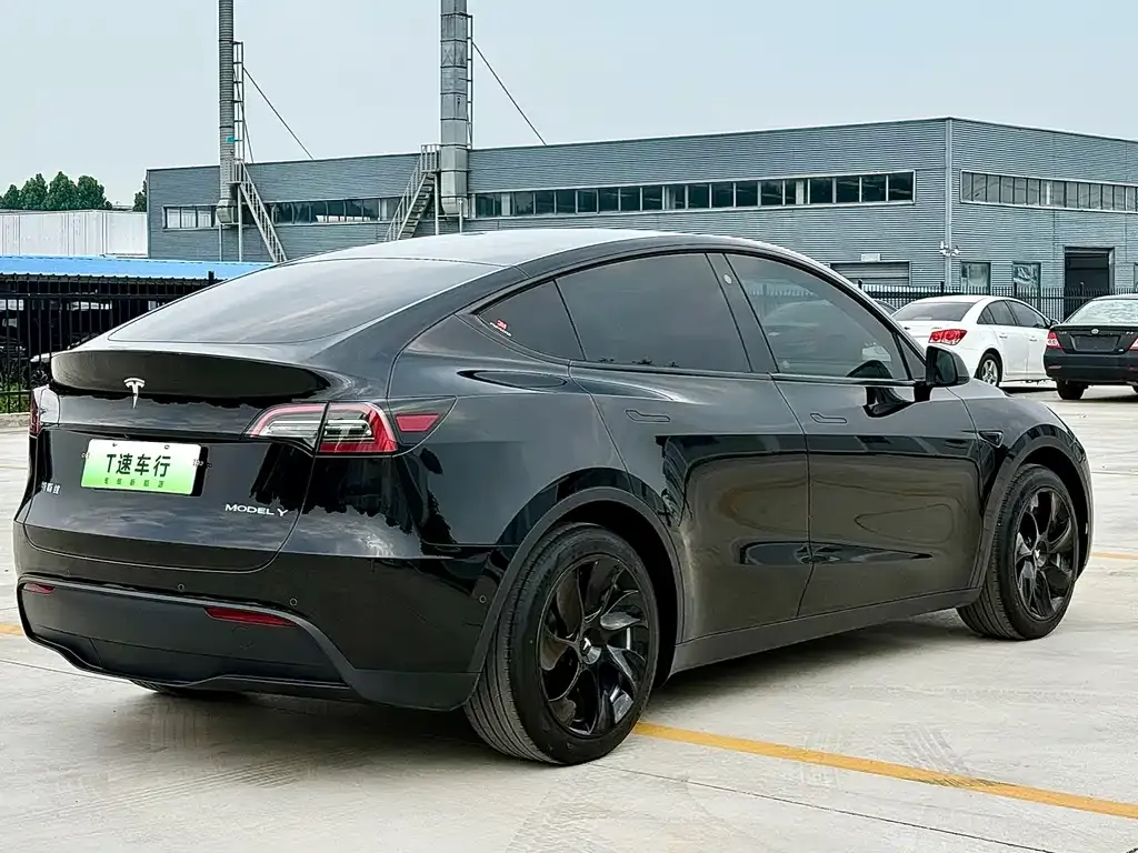Tesla Model Y — фото 2