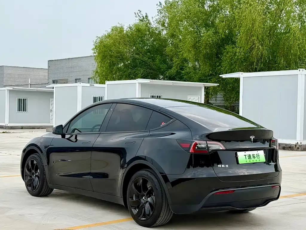 Tesla Model Y — фото 10