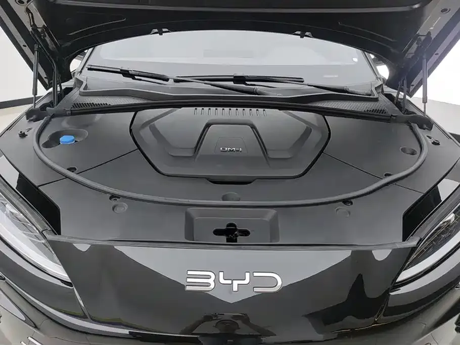 BYD PLUS New Energy — фото 6