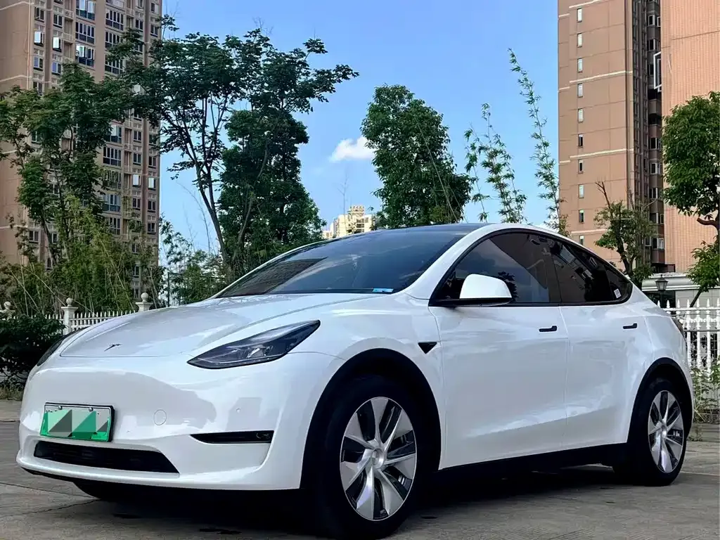 Tesla Model Y — фото 1