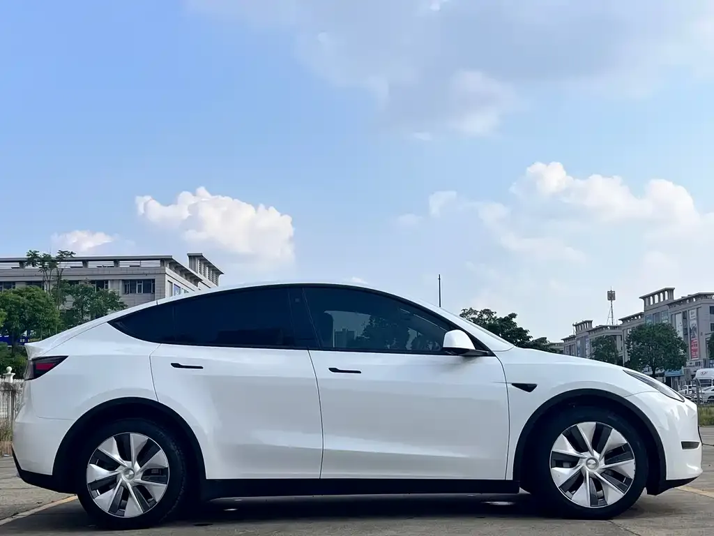 Tesla Model Y — фото 9