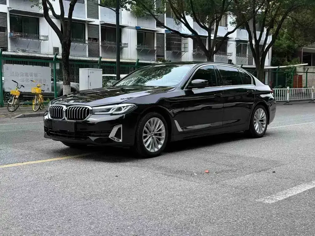 BMW 5 Series New Energy 2021 из CN, фото 8