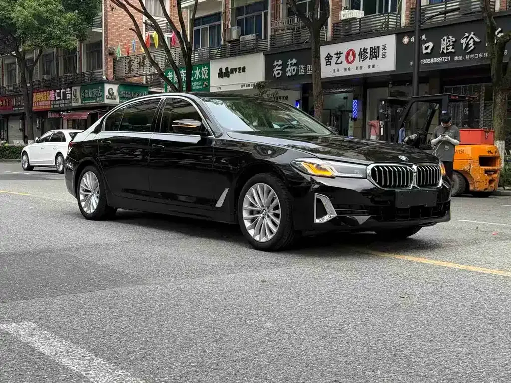 BMW 5 Series New Energy 2021 из CN, фото 6