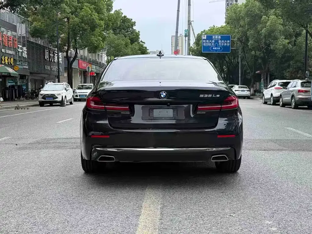 BMW 5 Series New Energy 2021 из CN, фото 7