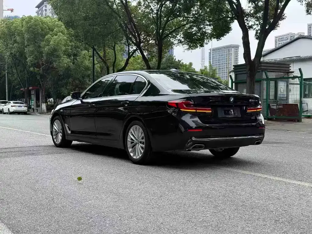 BMW 5 Series New Energy 2021 из CN, фото 9